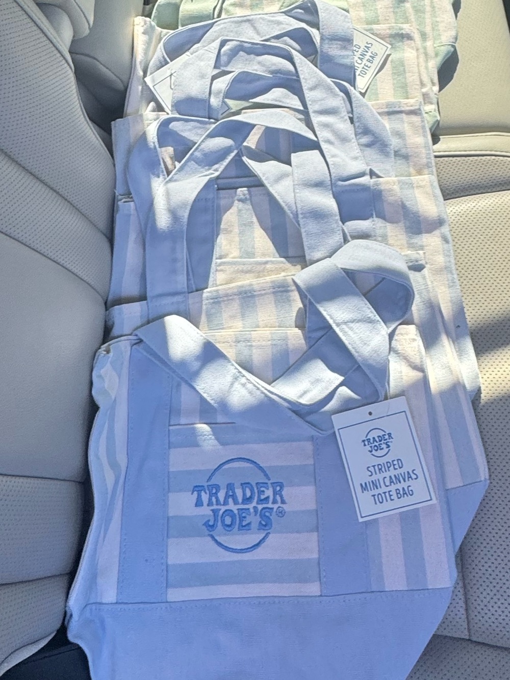 Trader Joe's Striped Canvas Tote Bag - Baby Blue stripes